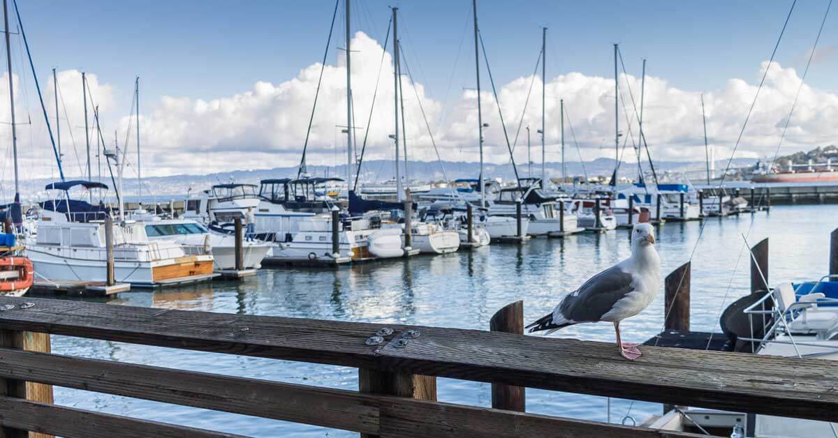 Best Marinas in San Francisco | Life of Sailing