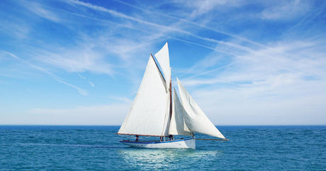 Are Sailboats Bad For The Environment? | Life of Sailing